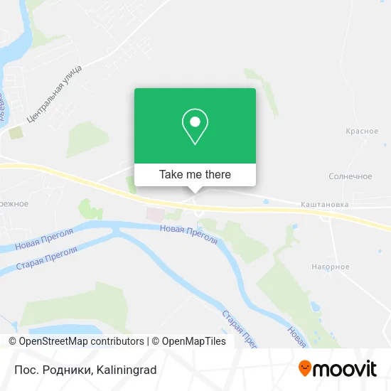 Пос. Родники map