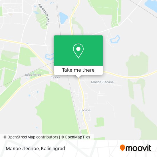Малое Лесное map