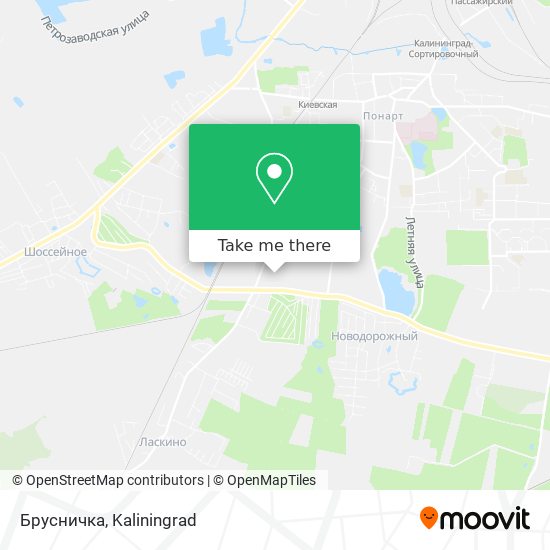 Брусничка map