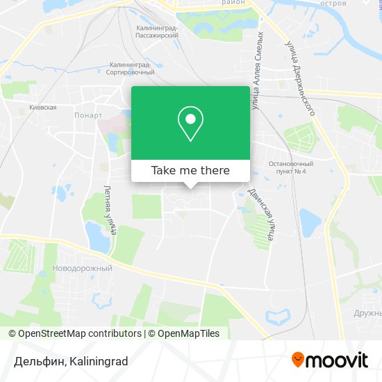 Дельфин map
