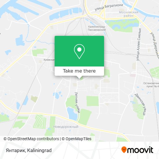 Янтарик map