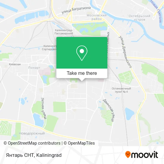 Янтарь СНТ map