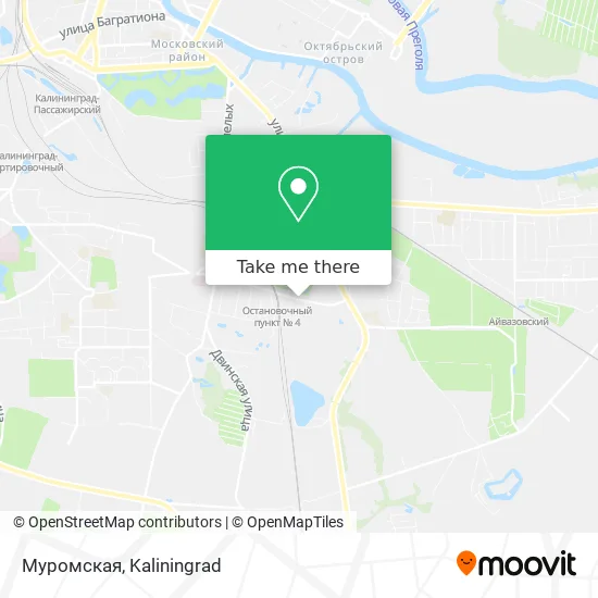 Муромская map