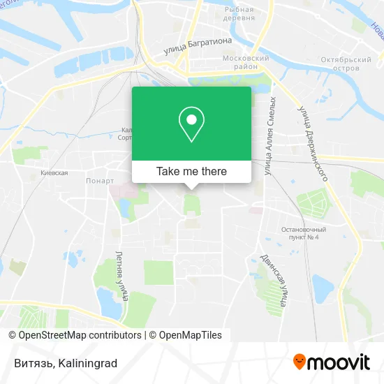 Витязь map