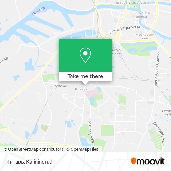 Янтарь map