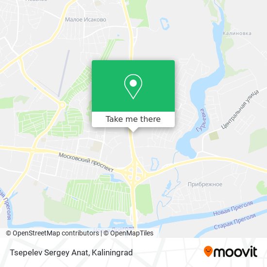 Tsepelev Sergey Anat map