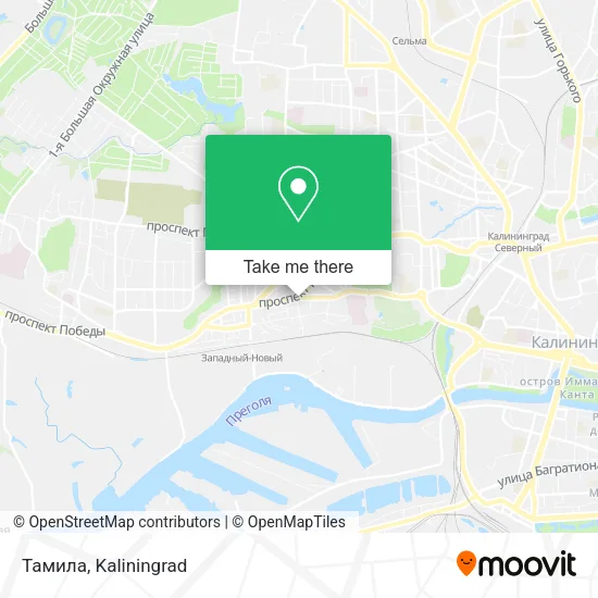 Тамила map