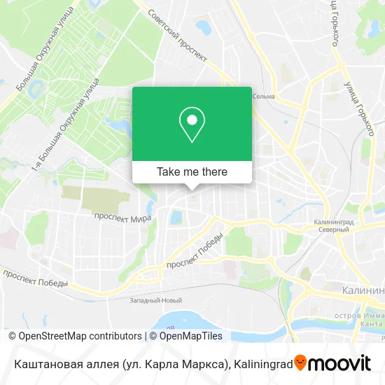 Каштановая аллея (ул. Карла Маркса) map