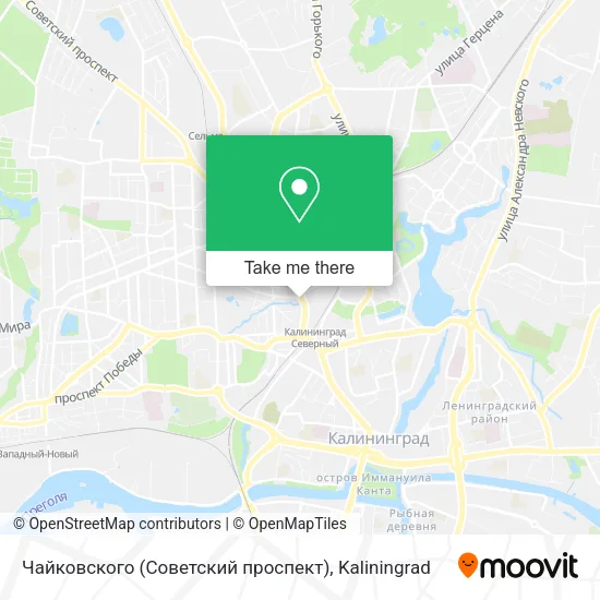 Чайковского (Советский проспект) map