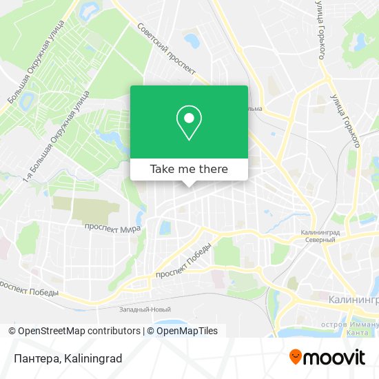 Пантера map