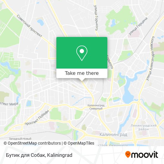 Бутик для Собак map