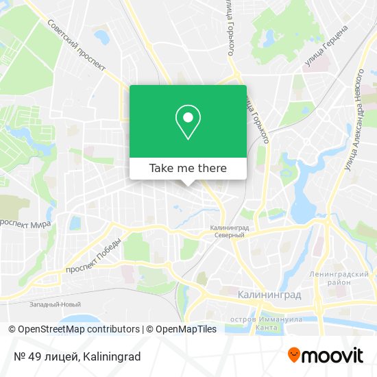 № 49 лицей map