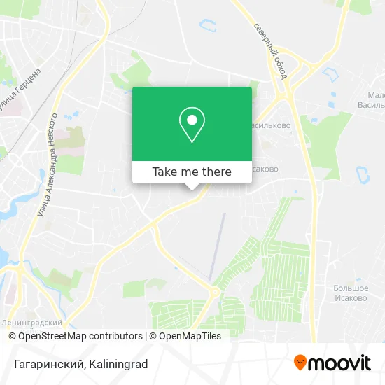 Гагаринский map