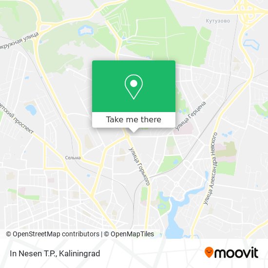 In Nesen T.P. map