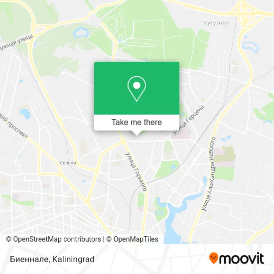 Биеннале map