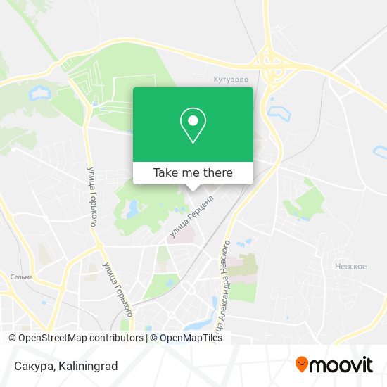 Сакура map