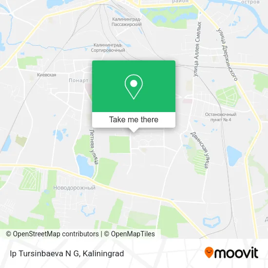 Ip Tursinbaeva N G map