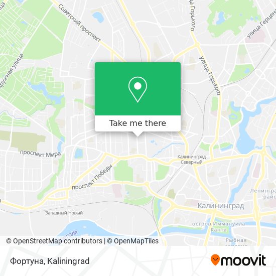 Фортуна map
