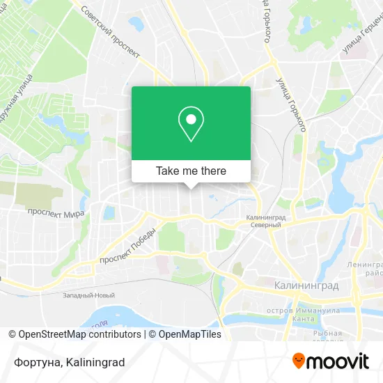 Фортуна map