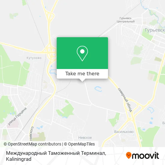 Международный Таможенный Терминал map