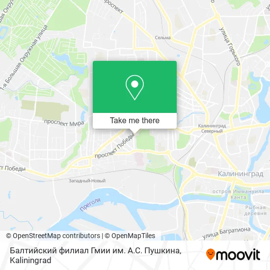 Балтийский филиал Гмии им. А.С. Пушкина map