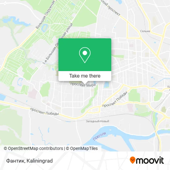 Фантик map