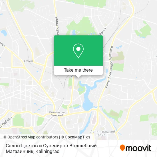 Салон Цветов и Сувениров Волшебный Магазинчик map
