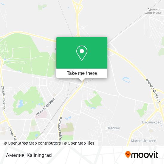 Амелия map