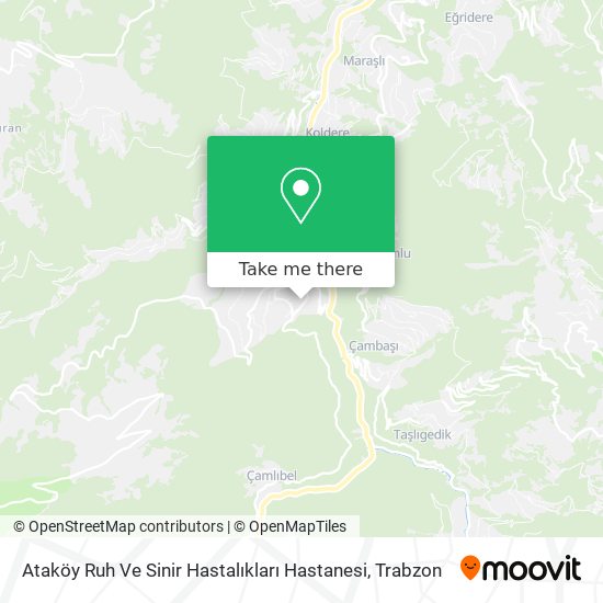 Ataköy Ruh Ve Sinir Hastalıkları Hastanesi map