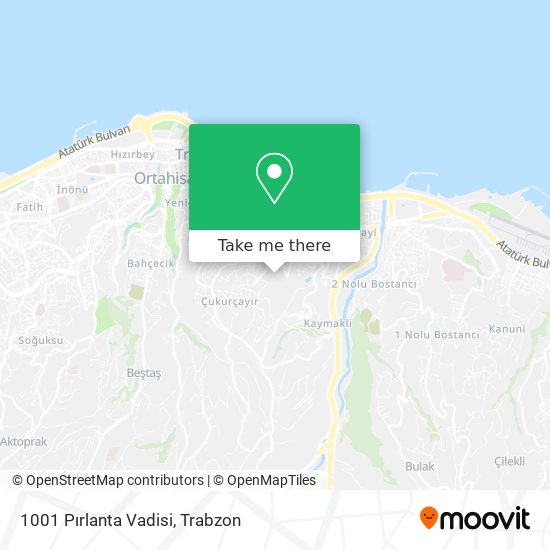 1001 Pırlanta Vadisi map