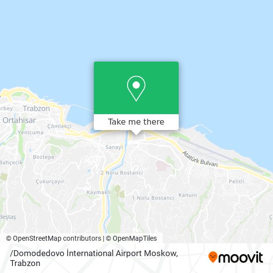 /Domodedovo İnternational Airport Moskow map