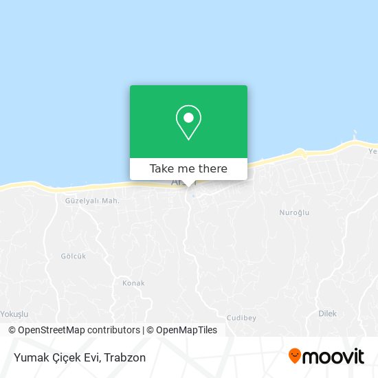 Yumak Çiçek Evi map