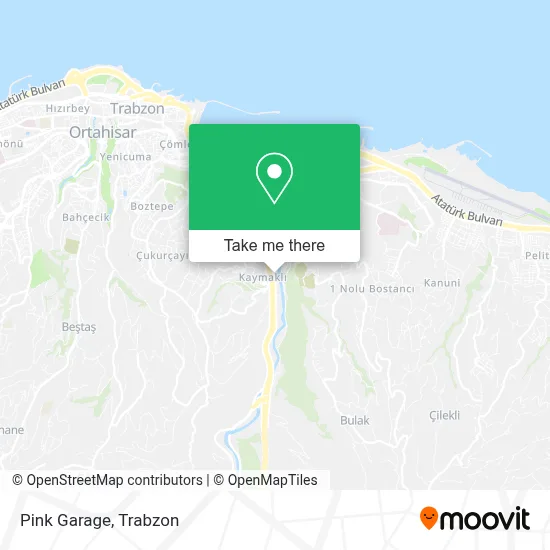 Pink Garage map