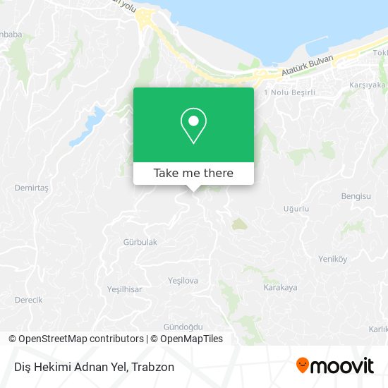 Diş Hekimi Adnan Yel map