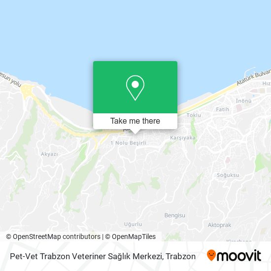 Pet-Vet Trabzon Veteriner Sağlık Merkezi map