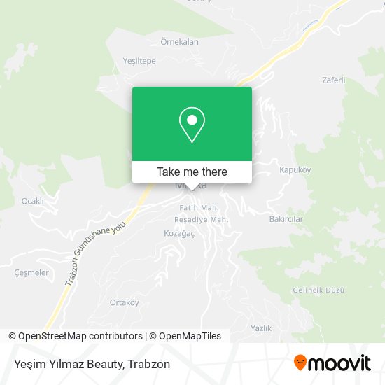 Yeşim Yılmaz Beauty map