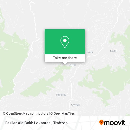 Caziler Ala Balık Lokantası map