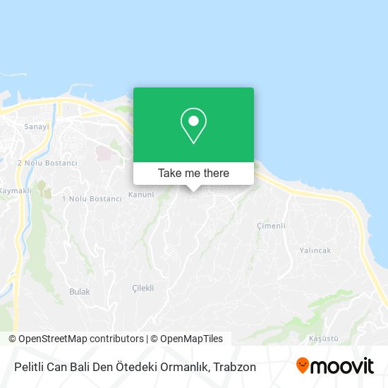 Pelitli Can Bali Den Ötedeki Ormanlık map