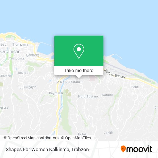 Shapes For Women Kalkinma map