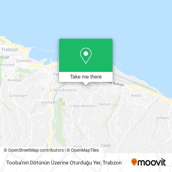 Tooba'nın Dötünün Üzerine Oturduğu Yer map