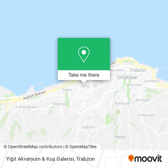 Yiğit Akvaryum & Kuş Galerisi map