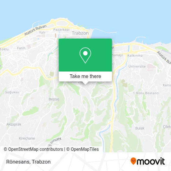 Rönesans map