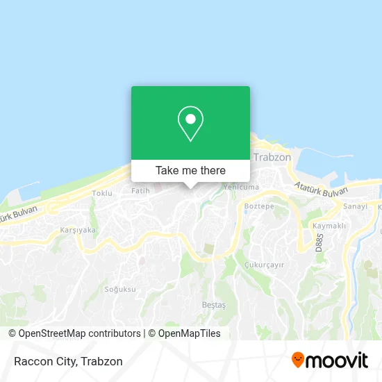 Raccon City map