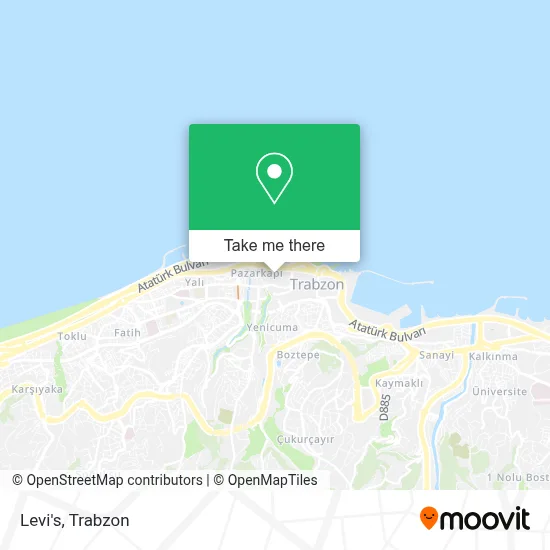 Levi's map