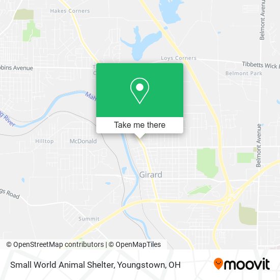 Mapa de Small World Animal Shelter