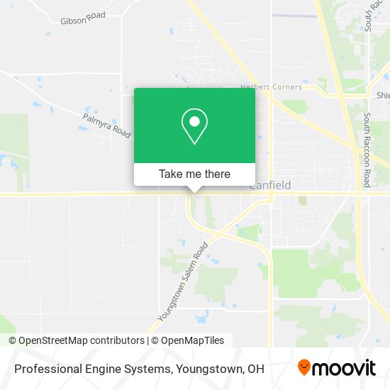 Professional Engine Systems map