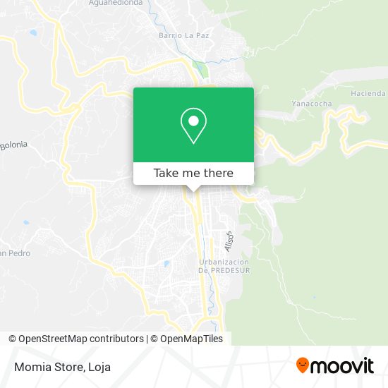 Momia Store map