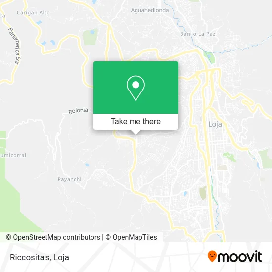 Riccosita's map