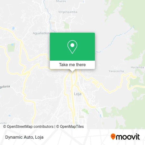 Dynamic Auto map