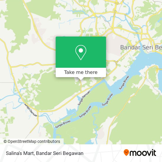 Salina's Mart map
